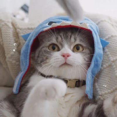 Hendra Gunawan avatar